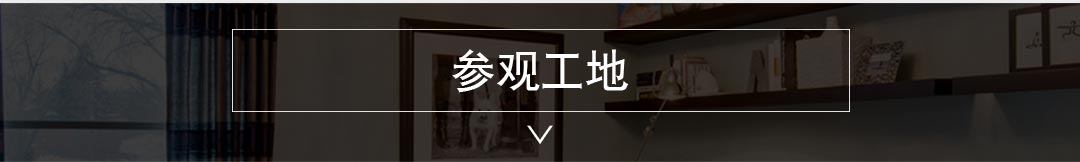 远洋大河宸章装修