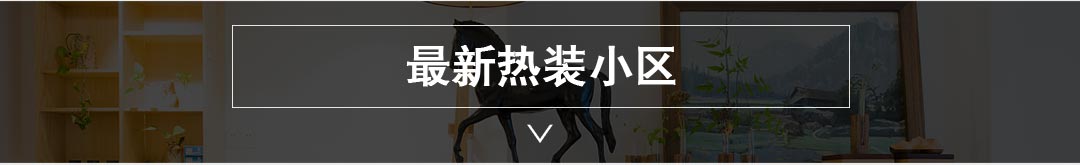远洋大河宸章装修
